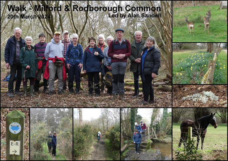 Walk - Milford & Rodborough Common - 20th March 2024
